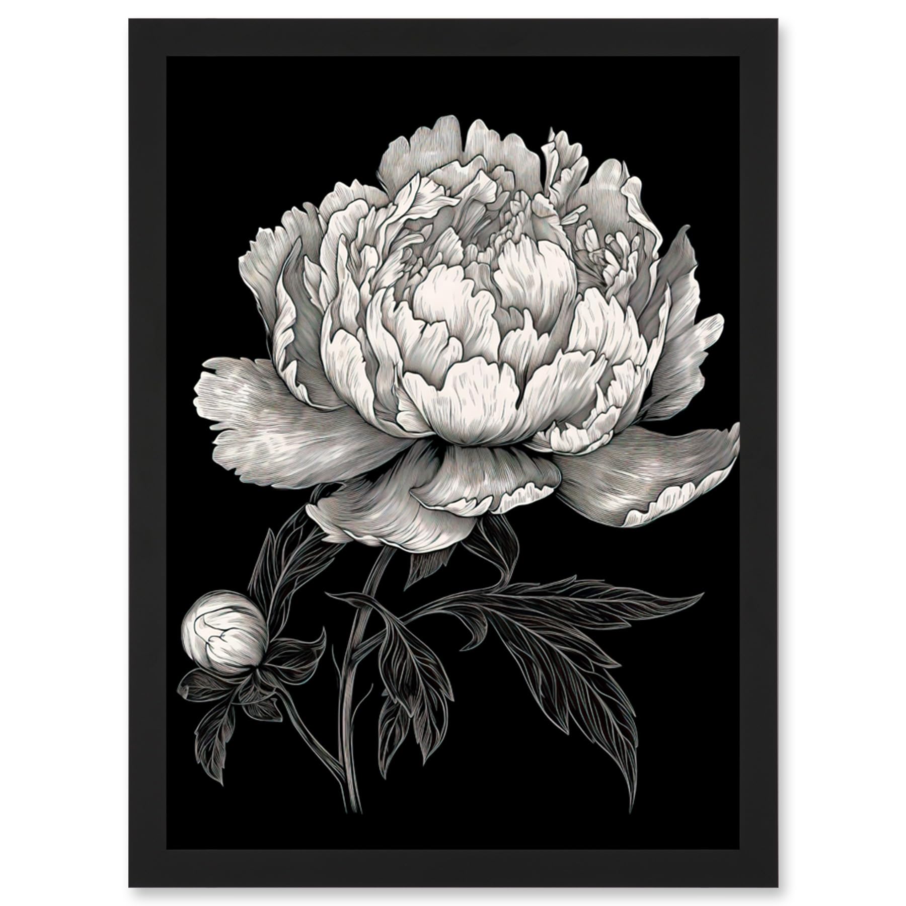 Artery8 A Peony Flower Bloom Black and White Blind Contour Artwork Framed Wall Art Print A4