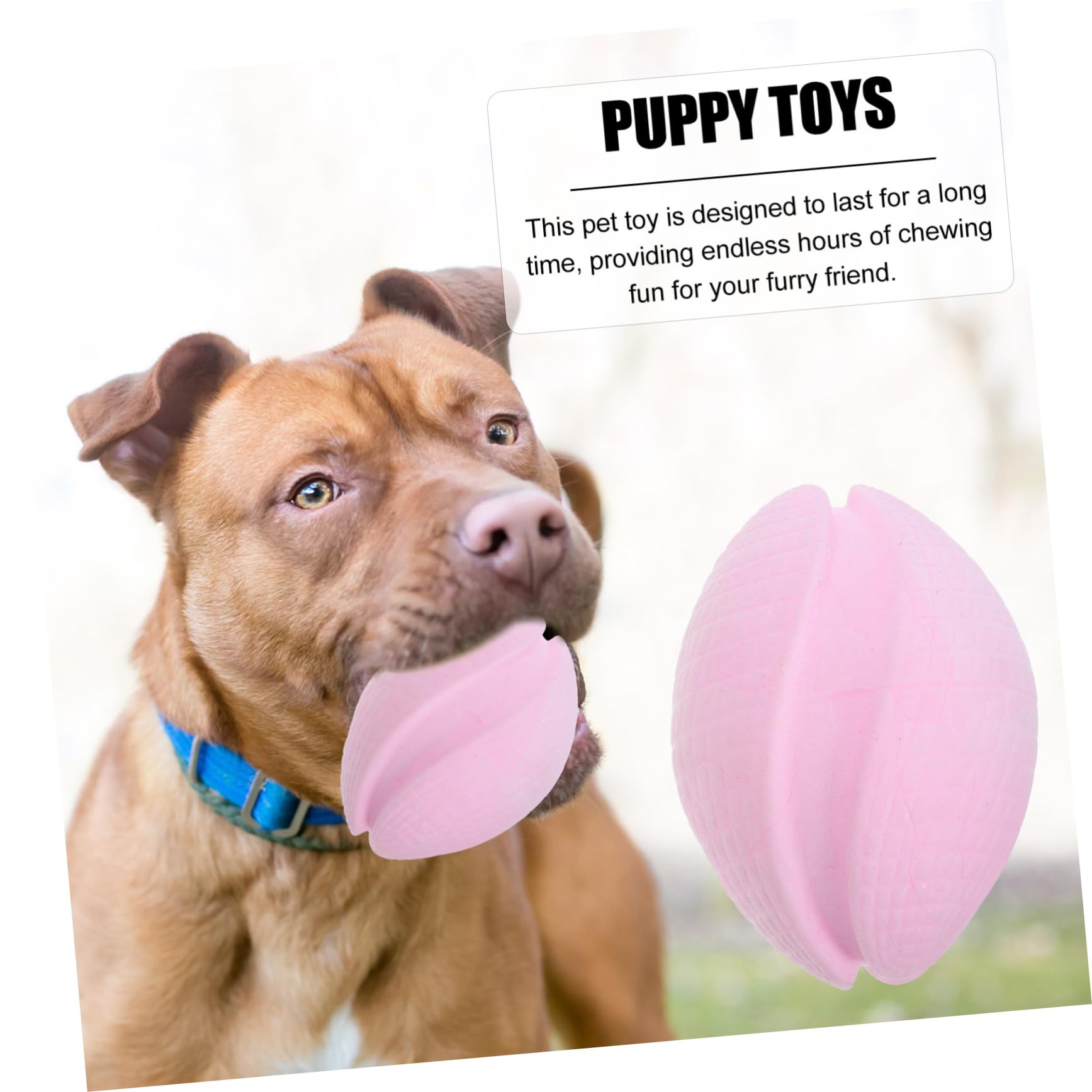 Toddmomy 5pièces Jouet à Mâcher pour Chiot Flottant Accessoire De Dentition Pratique pour Chiens pour Jeu Prévention des Dégâts Maison