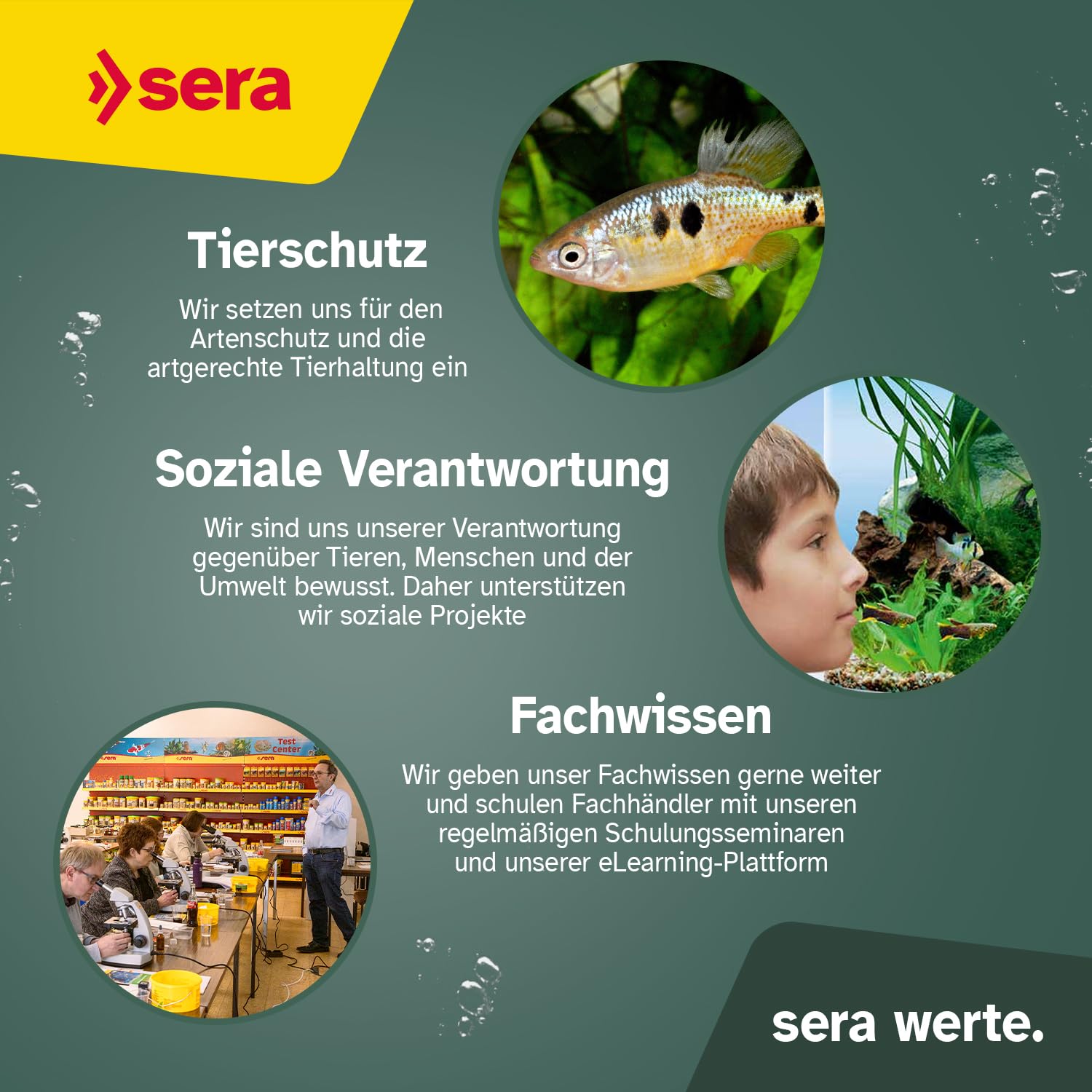 sera Koi Professional Summer 21 L (7 kg) | Energiereiches Fischfutter für aktive Fische im Sommer | Koi Futter für Temperaturen über 17 °C | Koifutter mit Ring-Kern-Pellets | Fischfutter Teich