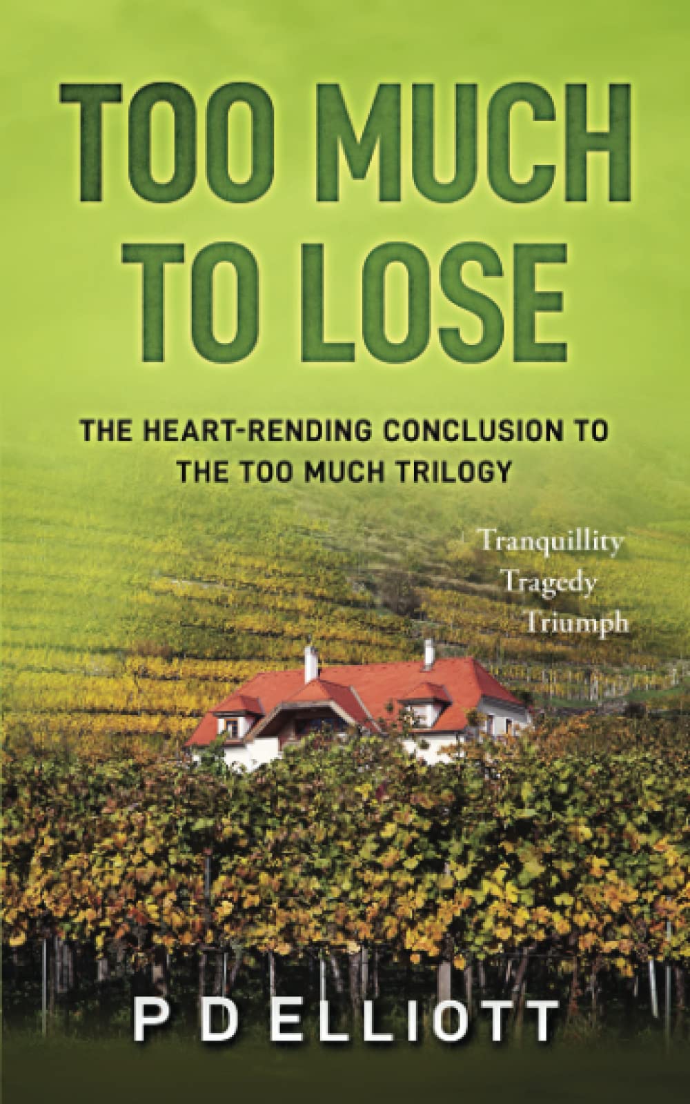 Too Much to Lose: The heart-rending conclusion to the Too Much trilogy