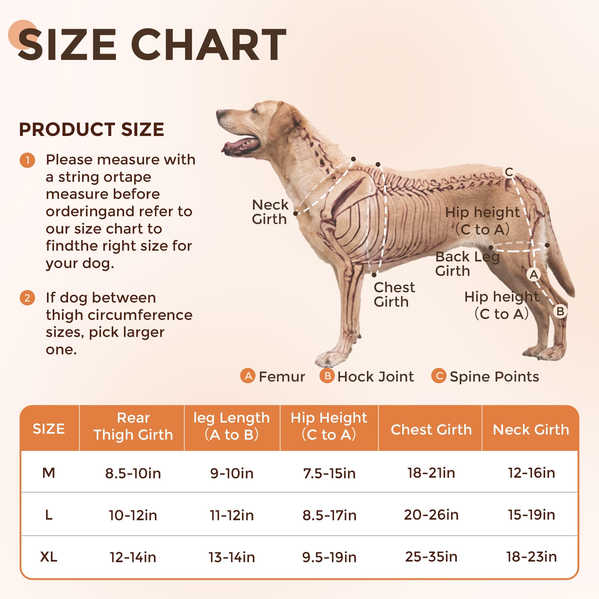 Rodillera para perro para ACL, alivio de la artritis y luxación rotuliana, soporte ajustable de pierna trasera con protección articular, ayuda de movilidad para dolor leve y lesiones, talla L