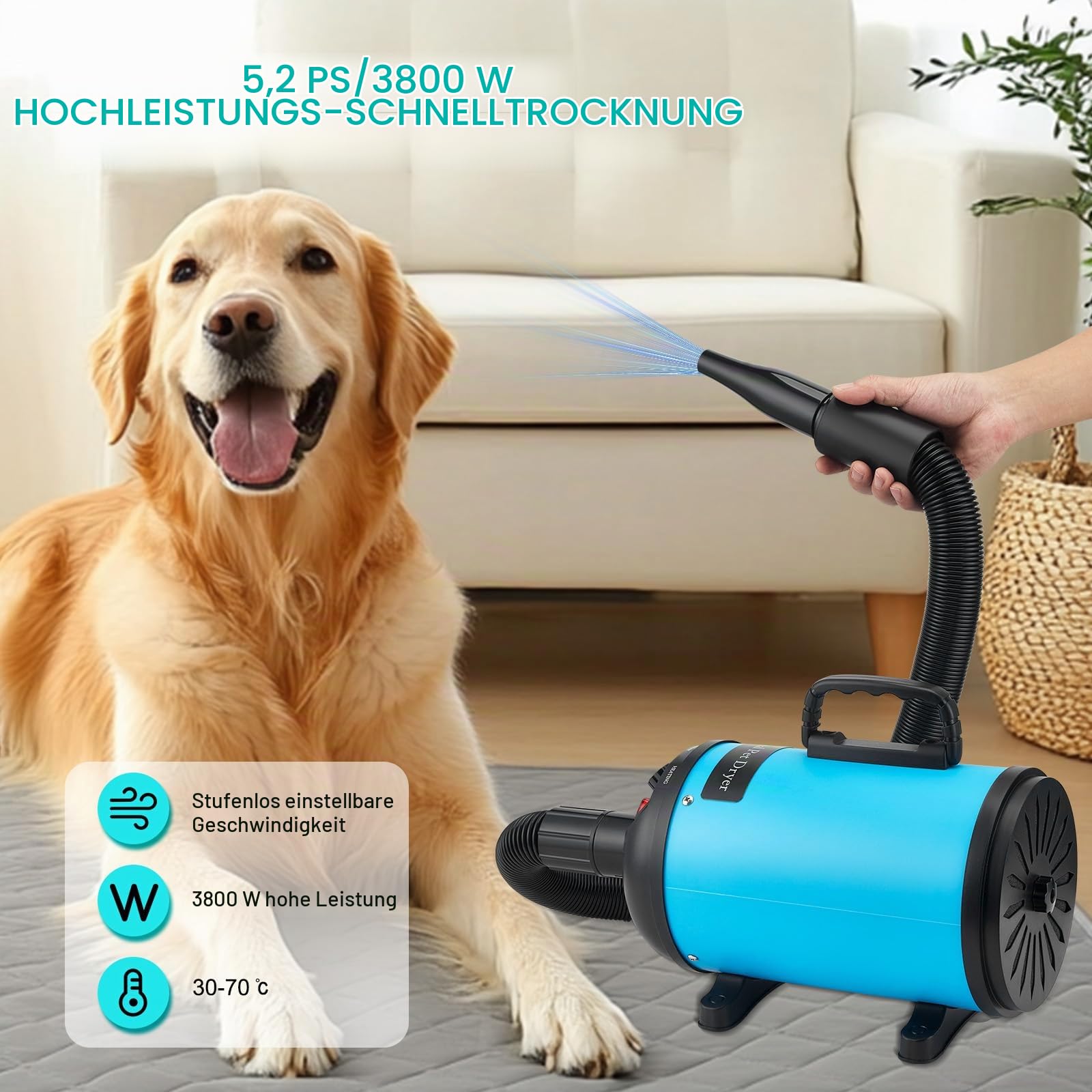 Hundefön Hundetrockner, Hundefön Blower 3800W/4,5 PS, Profi Tierhaartrockner für die Fellpflege, Stufenlose Geschwindigkeitsregelung, Geräuscharm, mit 4 Verschiedenen Düsen Elastischem Schlauch