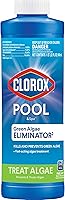 Clorox Pool&Spa Algaecide: Fast-Acting Green Algae Killer & Preventer, Non-Foaming, 1 Quart for All Pools