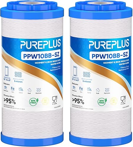 PUREPLUS 2-Pack Compound Filter