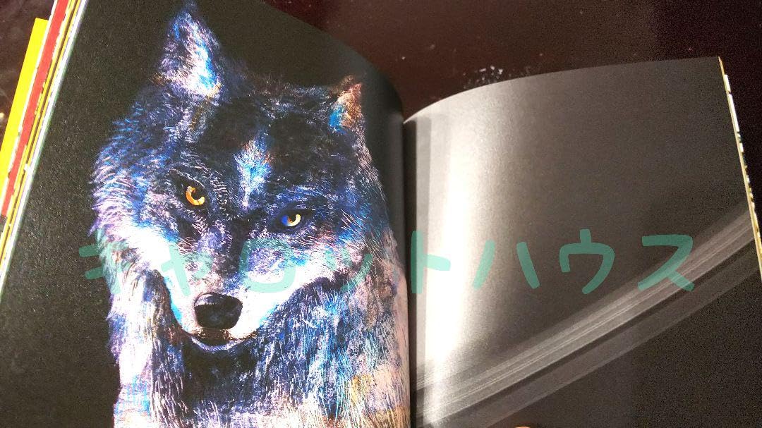 米津玄師*掲載雑誌セット 米津玄師 6枚目 ニューアルバム「LOST CORNER」8月21日発売《HMV限定