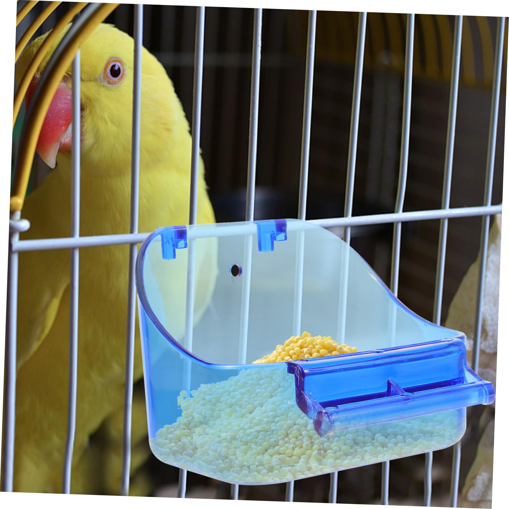 BESPORTBLE 5pièces à Oiseaux Suspendue pour Perruche Et Perroquet Accessoire De Cage Pratique Étanche Et Réutilisable pour Bain Et Alimentation des Oiseaux