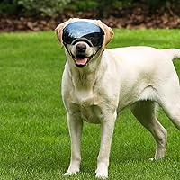 Vista 7 de Ownpets Gafas para perro, gafas con correa ajustable, diseño magnético, lente desmontable y protección UV para perros de tamaño mediano y grande