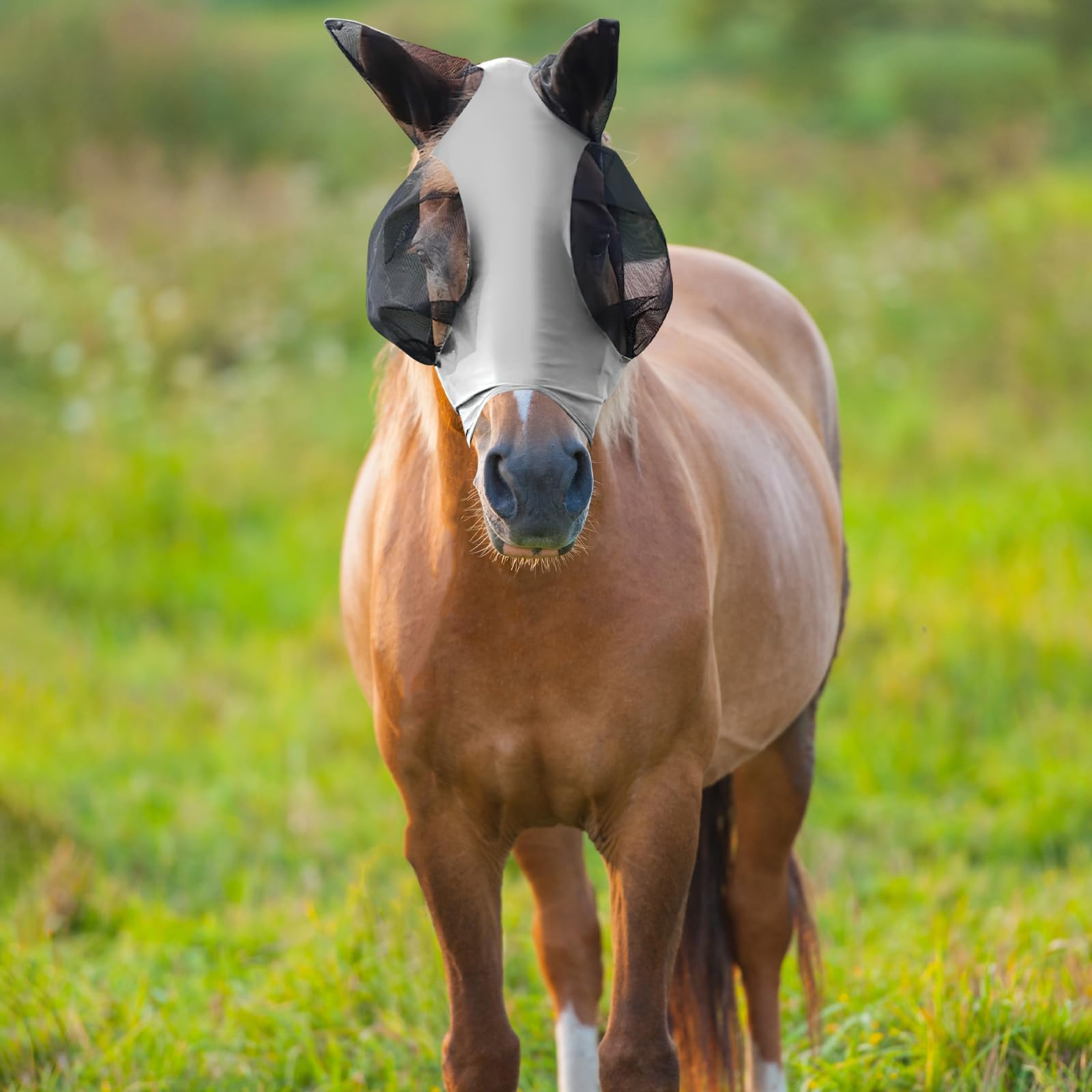 dellyy Maschera Antimosche Cavallo, Maschera Mosche Cavallo, Elastico Maschera Cavallo Antimosche, Maschera Mosche Cavallo Protezione UV, Cuffietta Cavallo (Grigio)