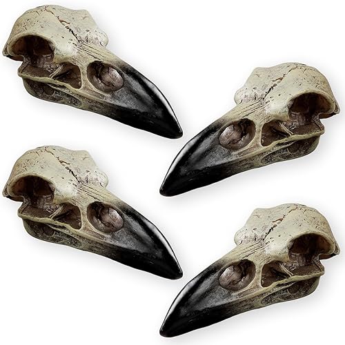 Calavera de cuervo de Halloween, estatua gótica de cuervo de cráneo de animal, decoración de hueso falso, collar de cuervo para la cabeza, dije de