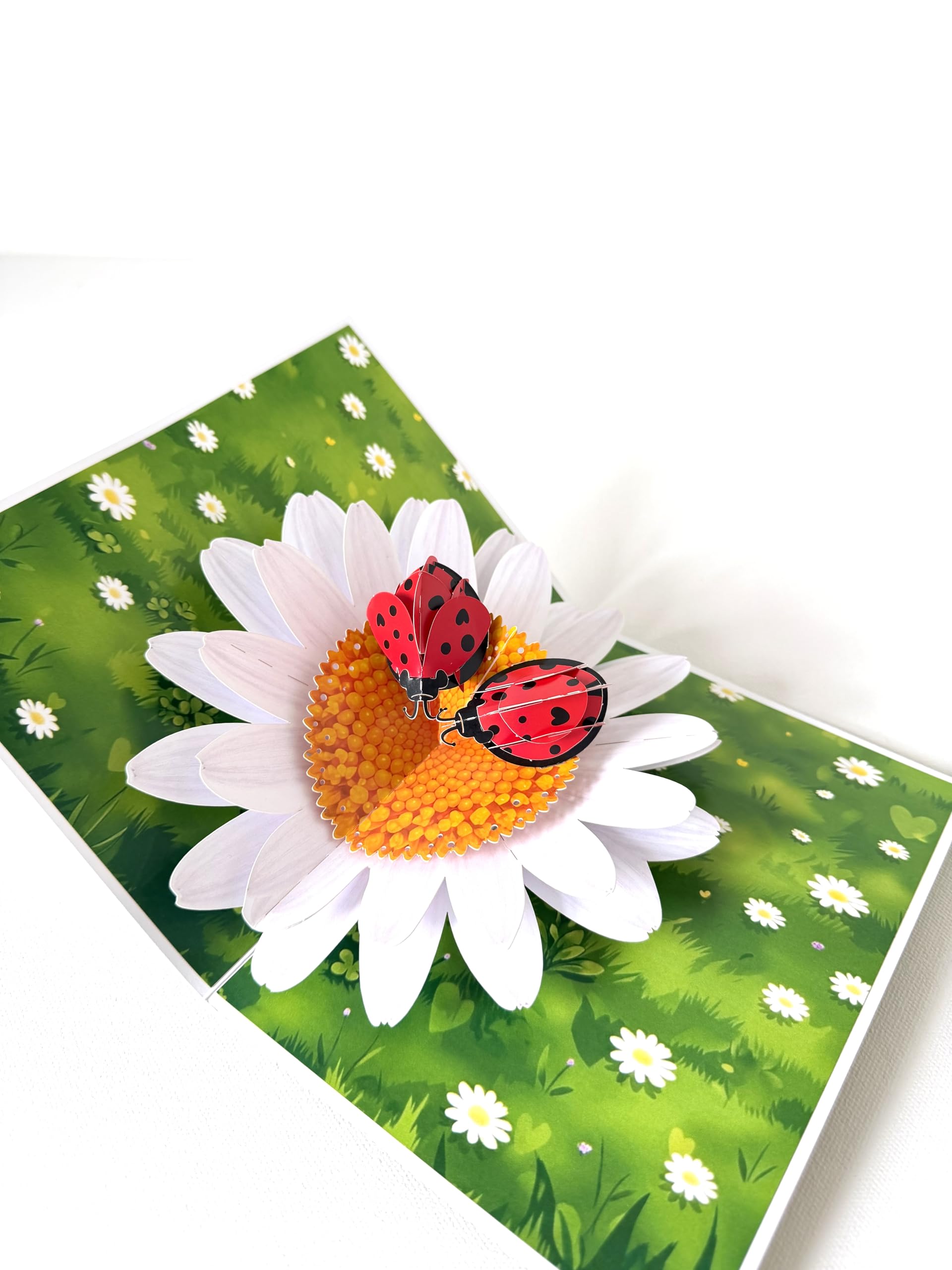 3D Pop Up Ladybug Card – “My Love Bug” Cute Romantic Card – Anniversary, Valentine’s Day Gift for Girlfriend, Boyfriend, Wife or Husband