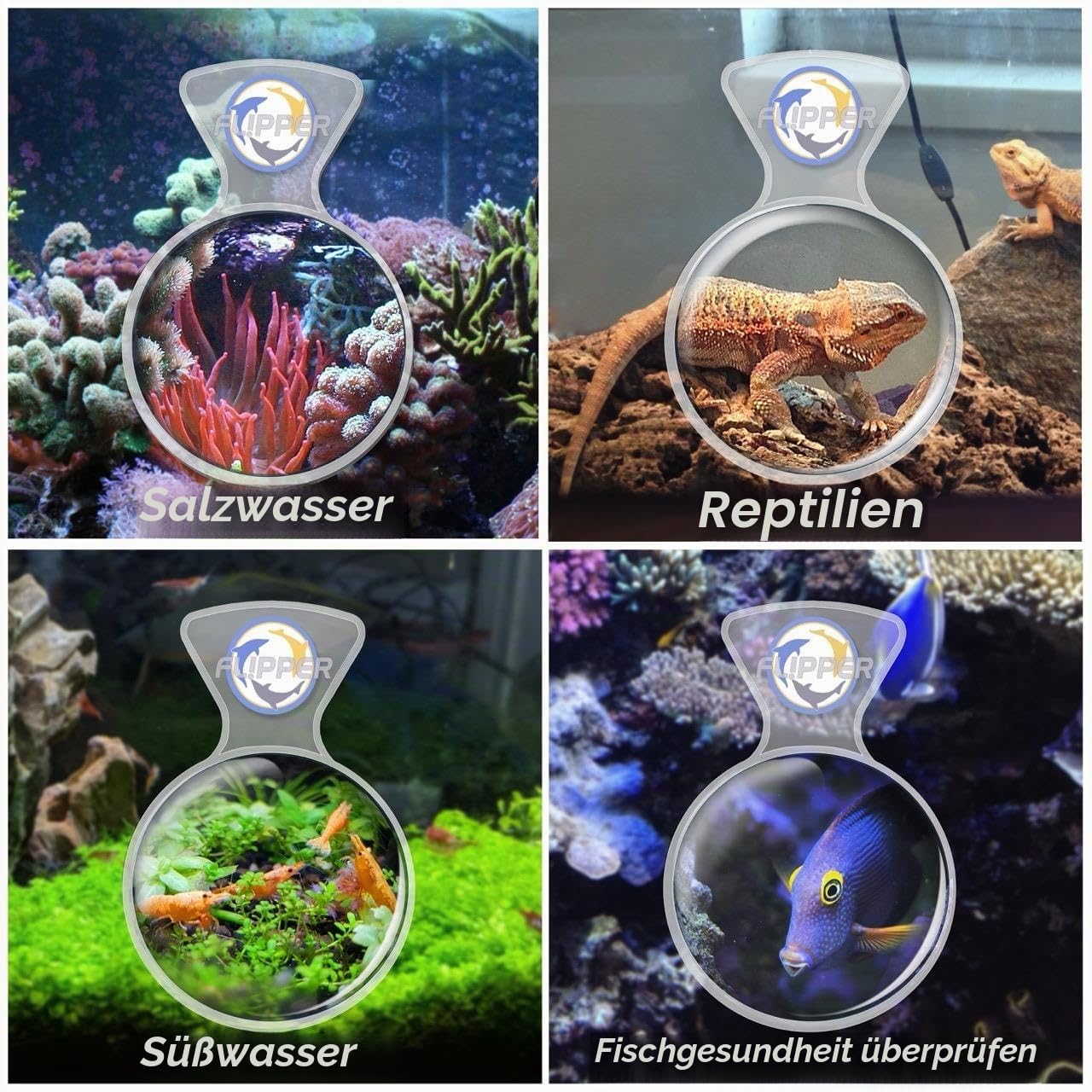 Flipper DeepSee 10,2 cm Viewer – Filter klare Linse und magnetische Lupe für Aquarien – magnetische Lupe ideal für Fotografie – klar