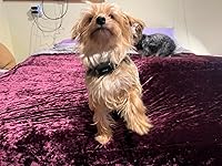 Review Image by Max Power Max Power