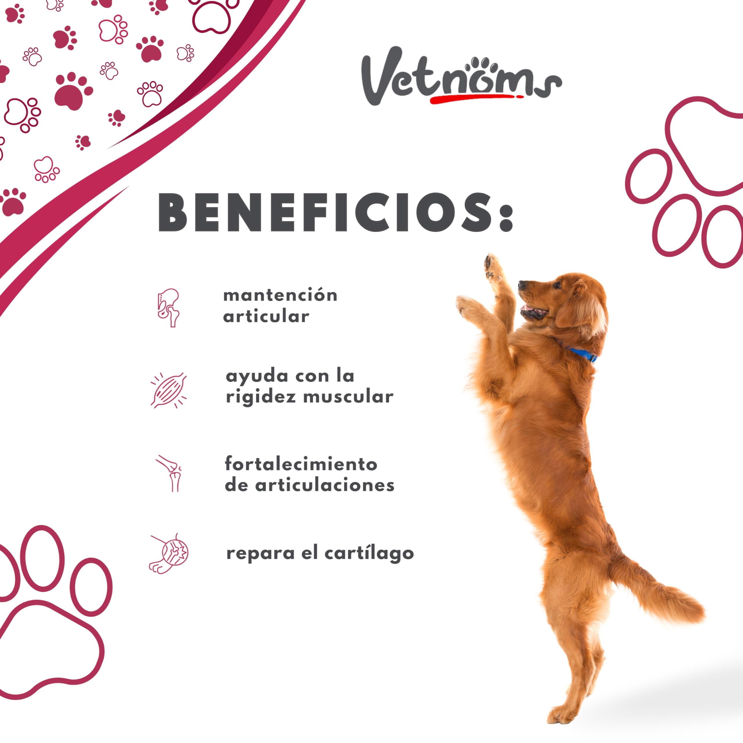 Condroprotector Perros con Msm - Antiinflamatorio Perros, Glucosamina Condroitina Perros. Condoprotectores Perros Grandes. Fortalece Articulaciones Perro. Condoprotectores Perros.