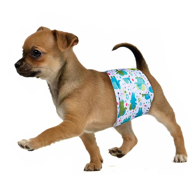 Foto 6 de 7 de MICOOYO Bandas Lavables para el Vientre para Perros Masculinos, Pañales Reutilizables
