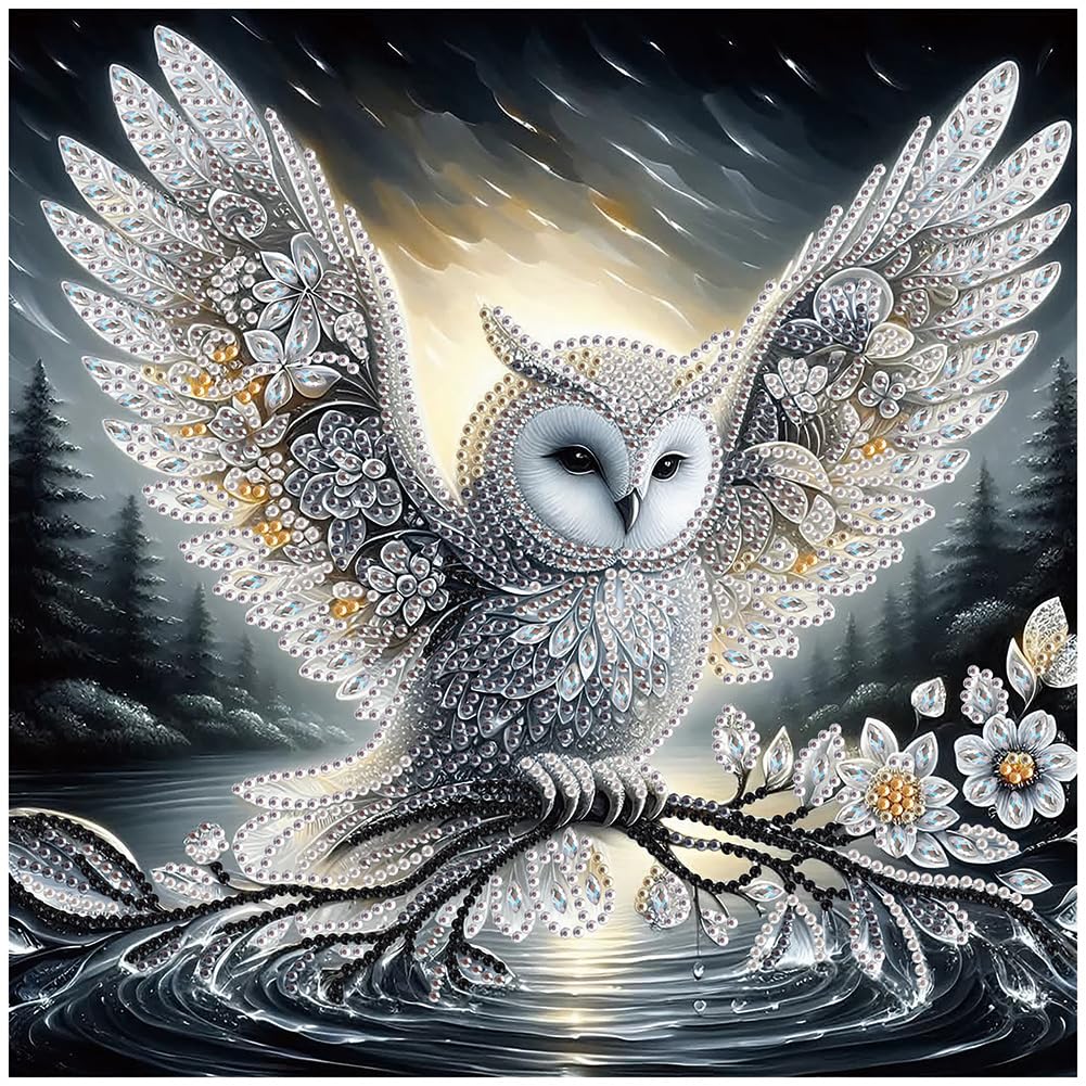 Sanjee Special Shape Owl Diamond Art Painting Kit for Adult, 30x30CM