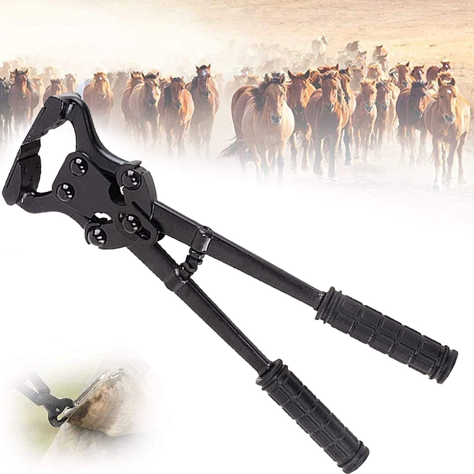 Pinza para pezuñas, Herramienta de Clavos para herrar, Suministros estables, alicates de Herradura, Herramientas de herrador para Cortar Clavos para Granjas