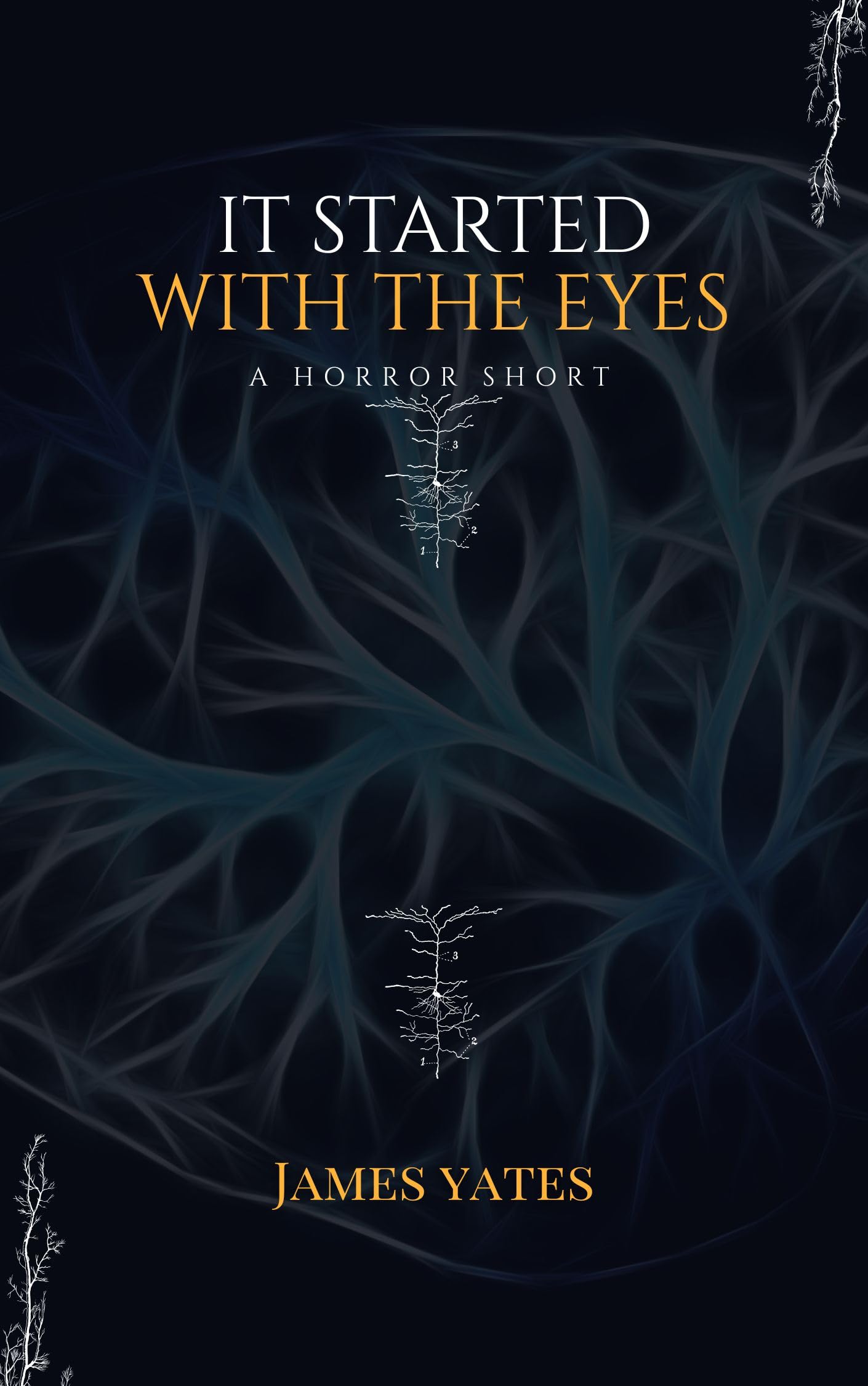 It Started With The Eyes: A Short Story