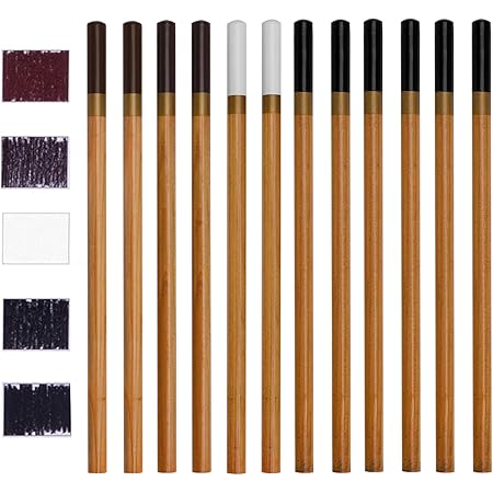 Amazon Co Jp 鉛筆 デッサン 色鉛筆 スケッチ鉛筆 チャコールペンシル 6色炭素芯 12本セット チャコール鉛筆 絵図 素描 画材 美術用品 文房具 オフィス用品