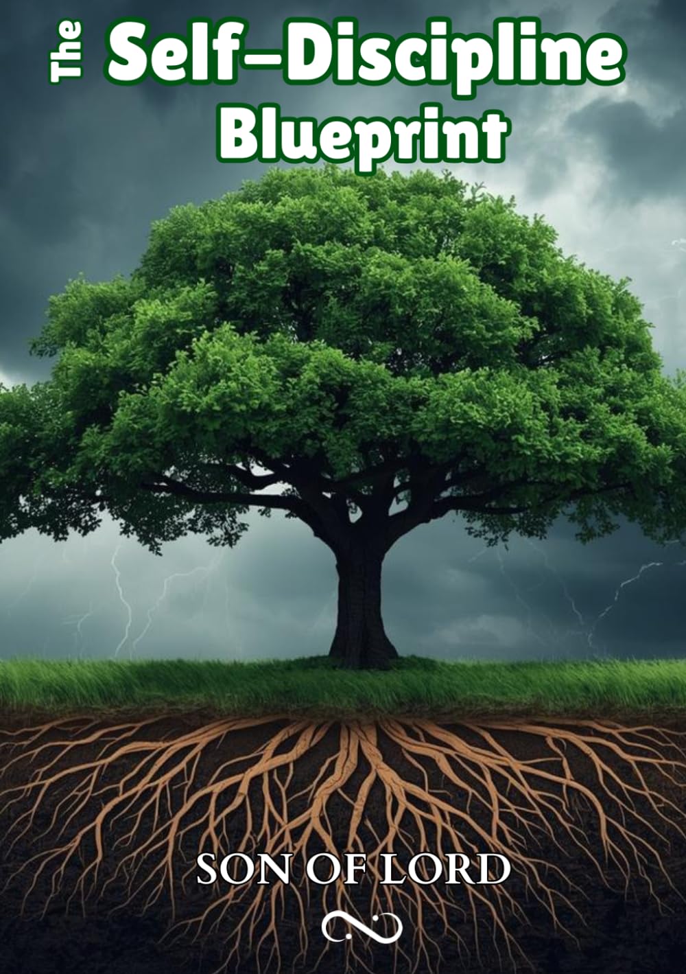 The Self-Discipline Blueprint: How to Build Consistency, Strengthen Your Mind, and Follow Through on What Truly Matters (Vibrational Frequency of Energy)