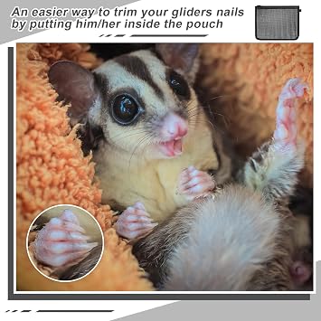 Abbylike 2 Pcs Sugar Glider Nail Trimmer Nails Trimming Pouch Mesh 7.87 x 9.84 inches Trim Bag for Guinea Pig Rat Ferrets Small Pets, Black
