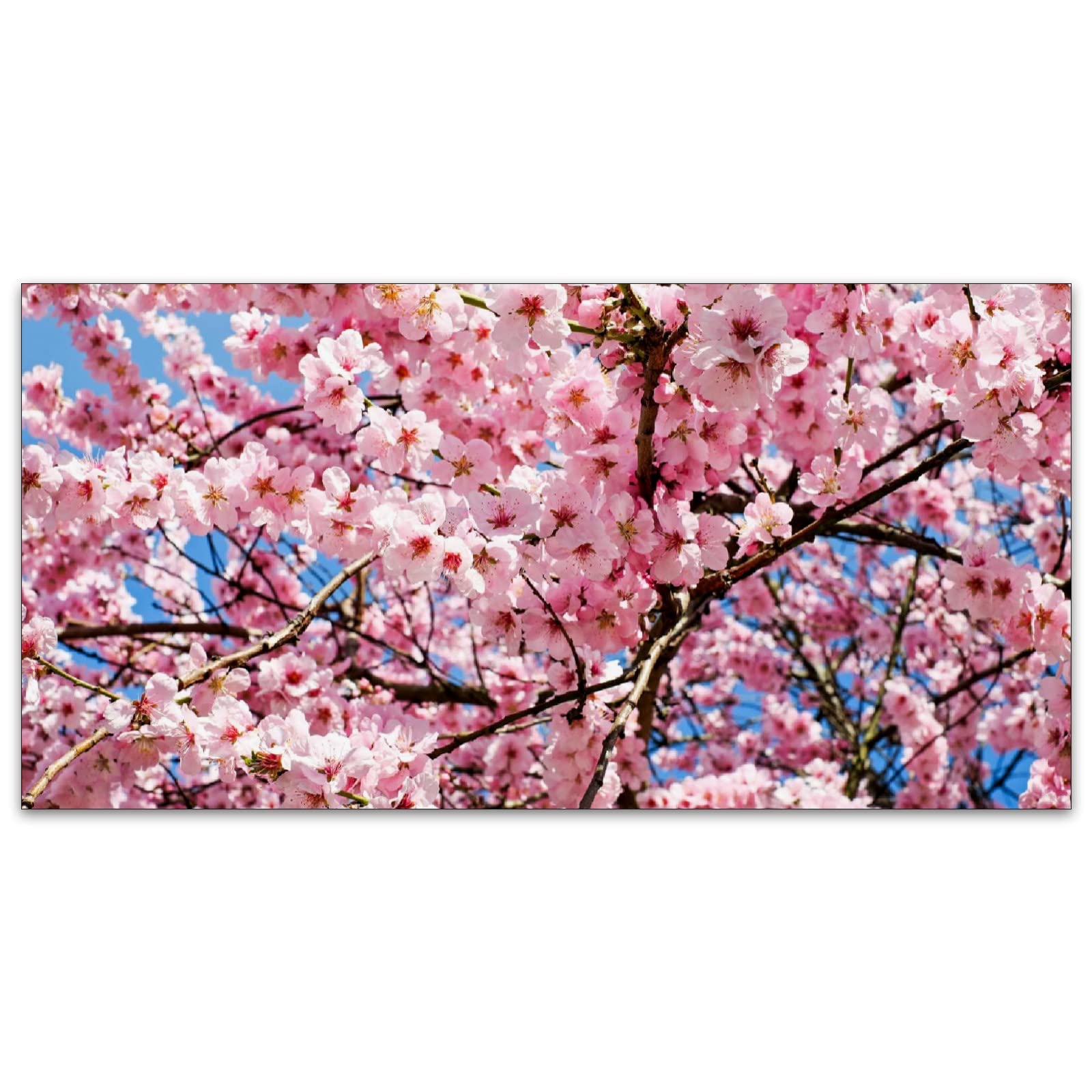 MSINMKOK 2ft x 4ft Fluorescent Light Covers Japanese Cherry