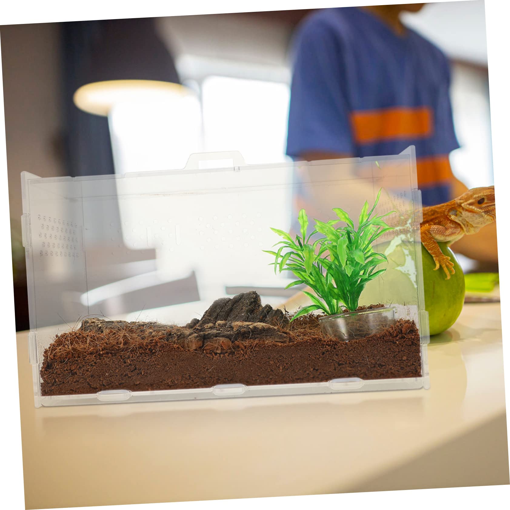SOIMISS Reptilien Terrarium Transparente Aufzuchtbox für Frösche und Kleine Reptilien Belüftete Terrarienbox mit Teiligem Zubehör