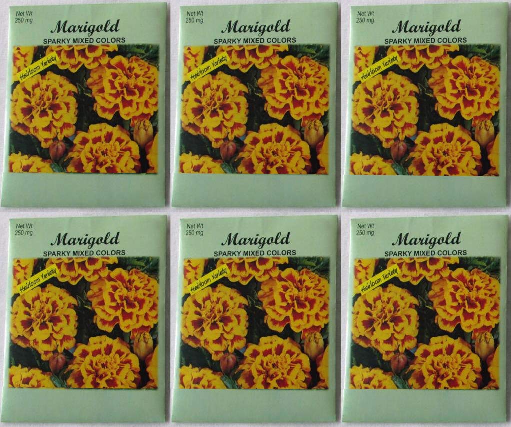 Amazon.com : (6 Pack) 250 mg/Package Marigold Heirloom Variety
