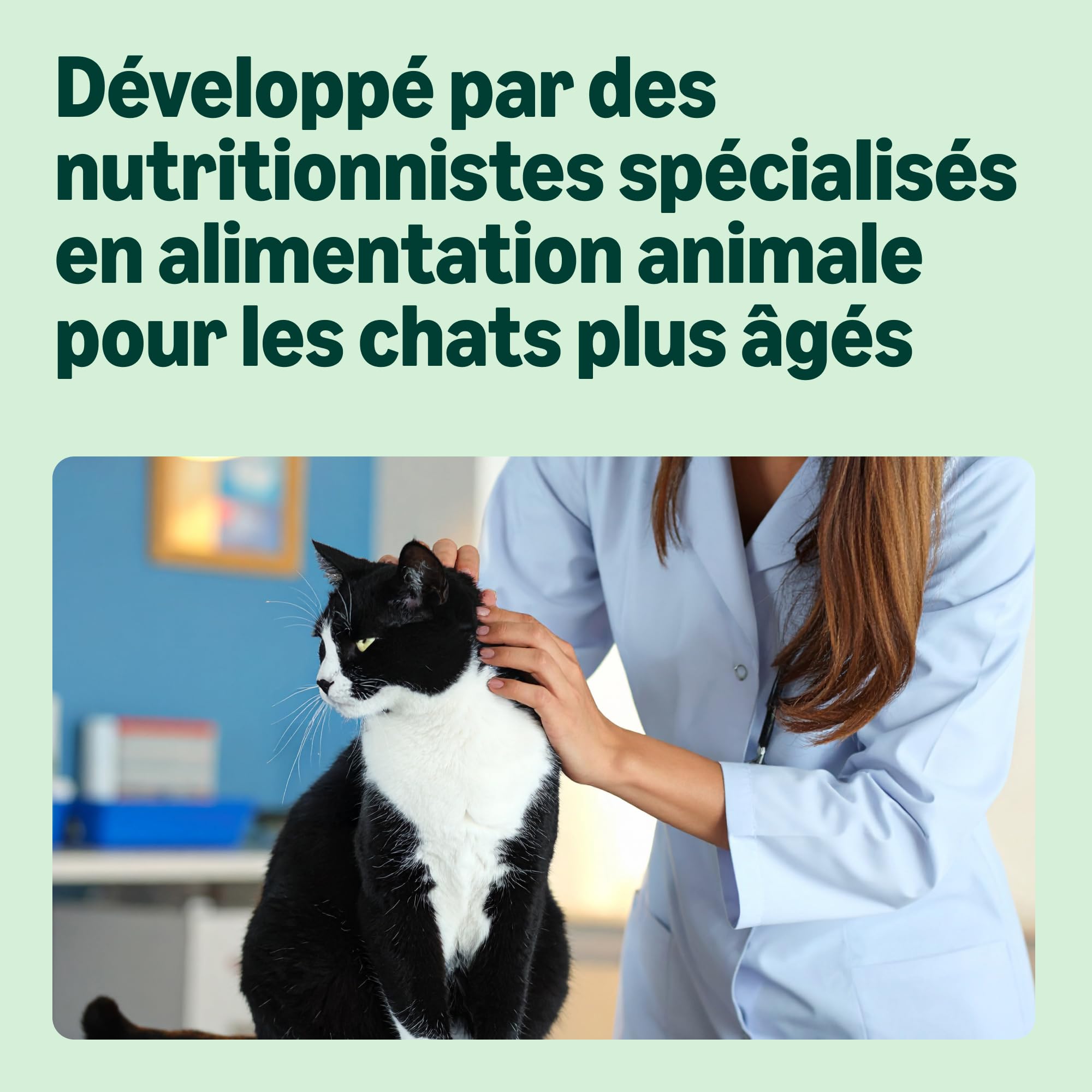 by Amazon Grainfree Recipe Dry Cat Food (Senior) with Fresh Chicken - 3kg (Anciennement une marque Lifelong, même produit)