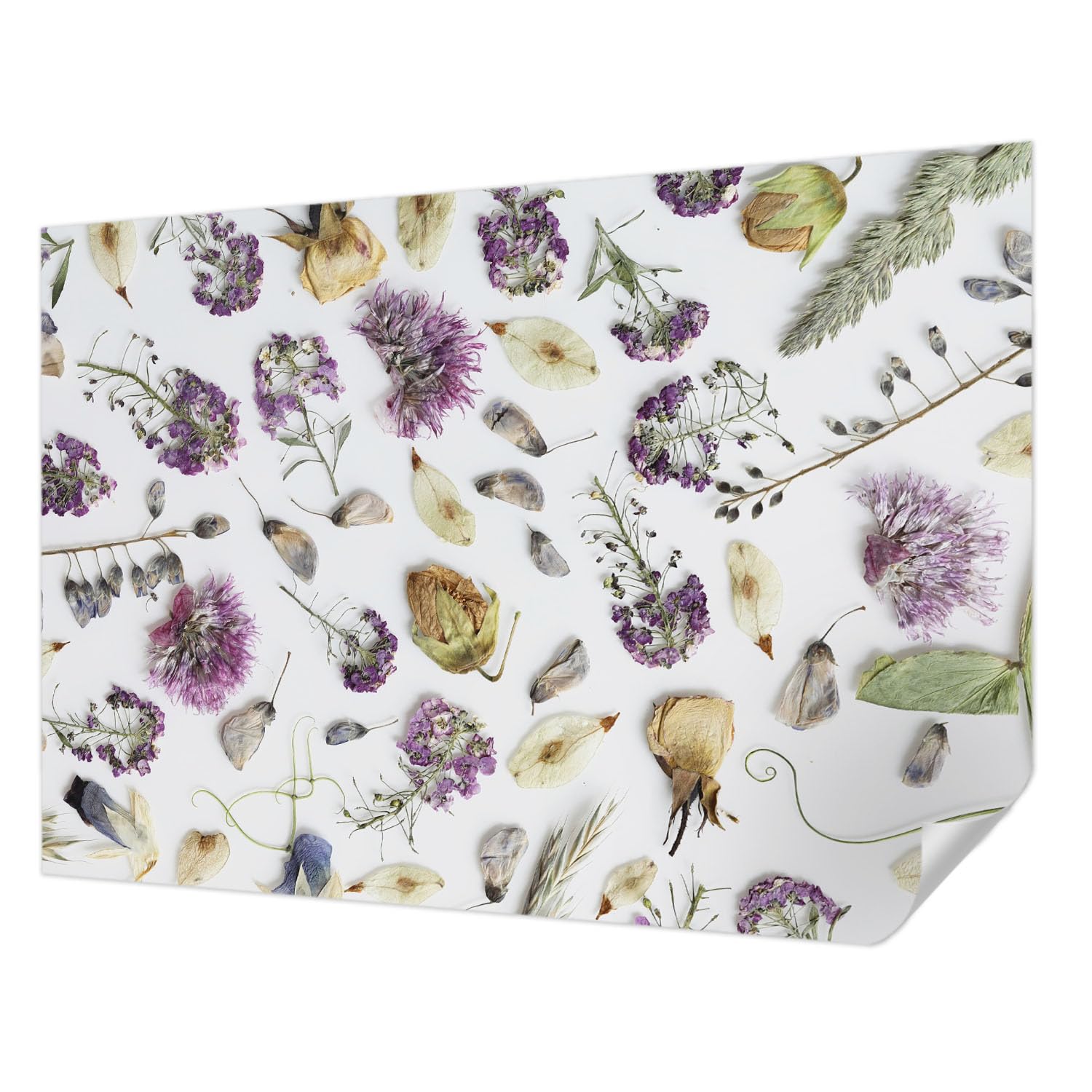Papier peint fleurs séchées résistant aux taches et autocollant