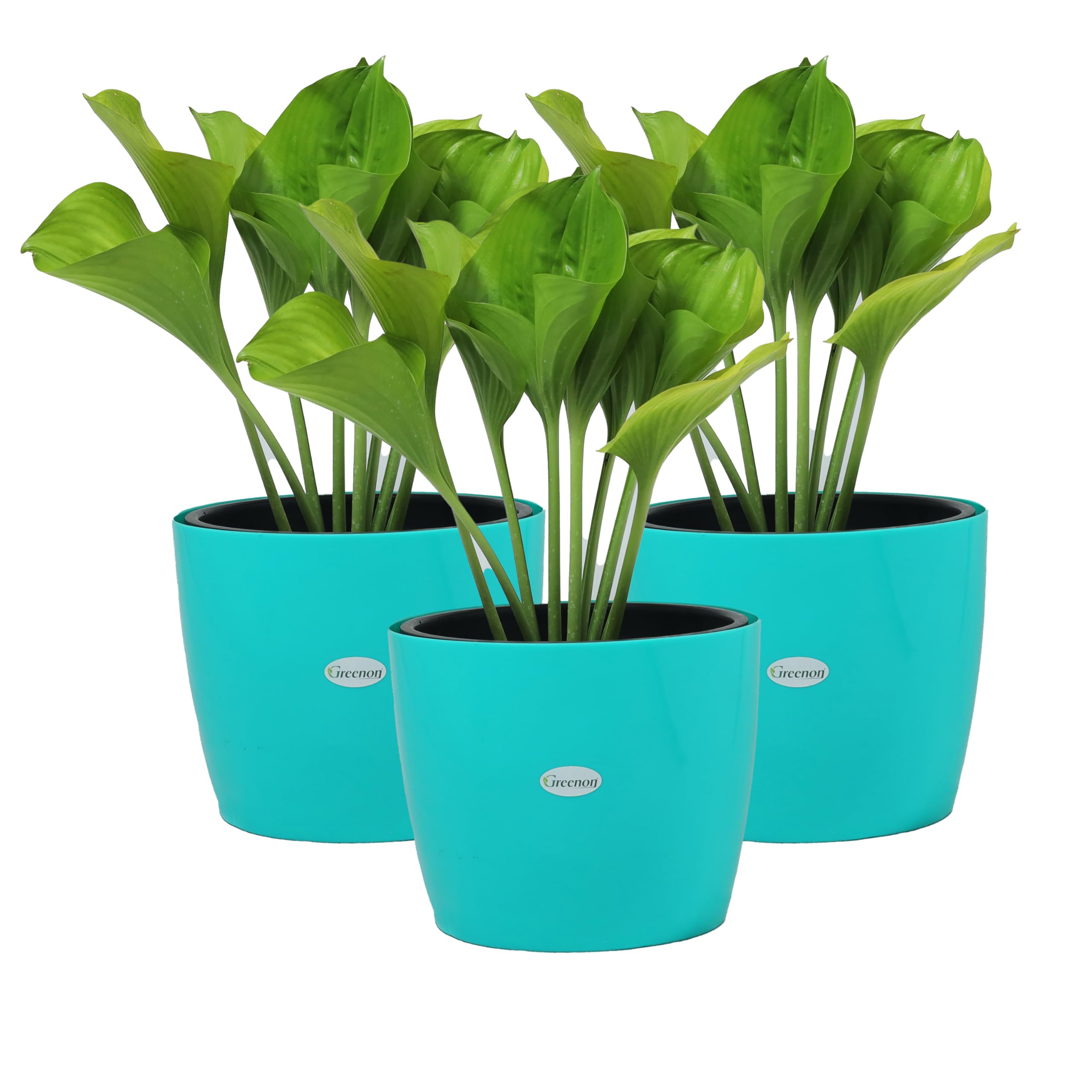 GREENON Self Watering Pots - Set of 3 -1 GREENON Self Watering Pots - Set of 3 -1