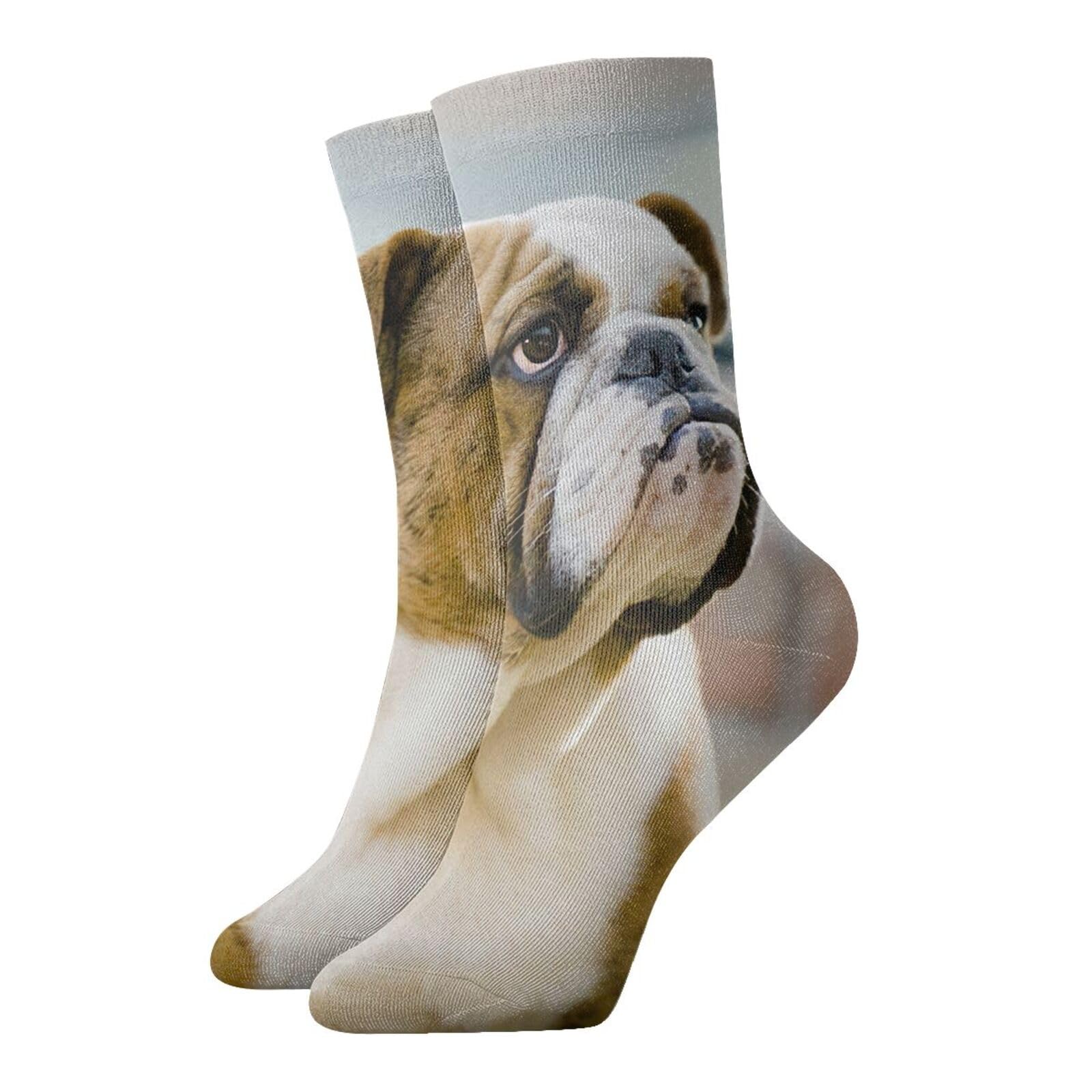 Edwal Unisex White Funny English Bulldog Print Fall Warm Crew Socks For Adults Couples Cushion Boot Socks For Running Hiking Athletic