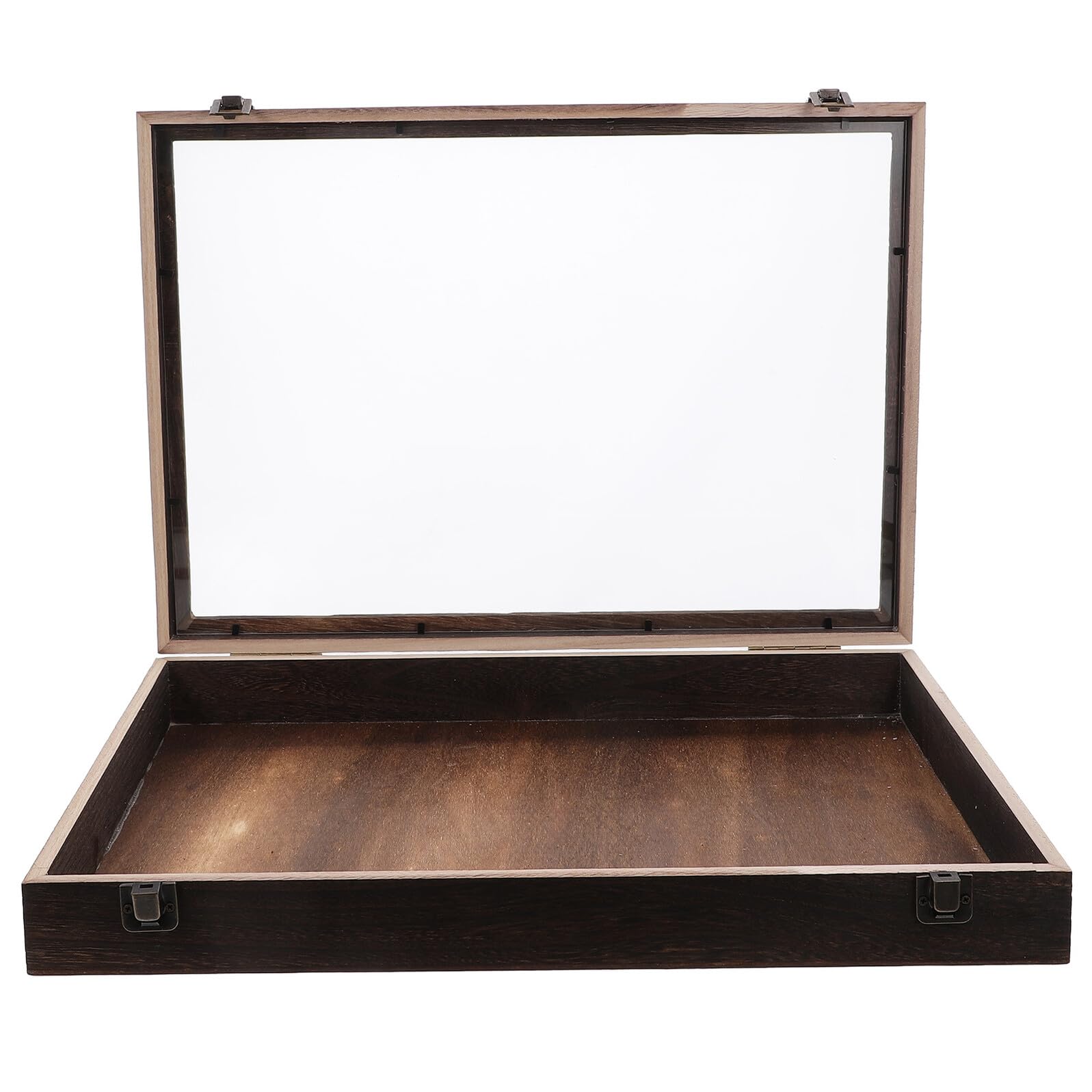 Scatola Espositiva 45x32x6 Cm in Legno Vetrina Coperchio Trasparente, Contenitore Decorativo per di Farfalle e Piante per Collezioni e Arredamento Casa