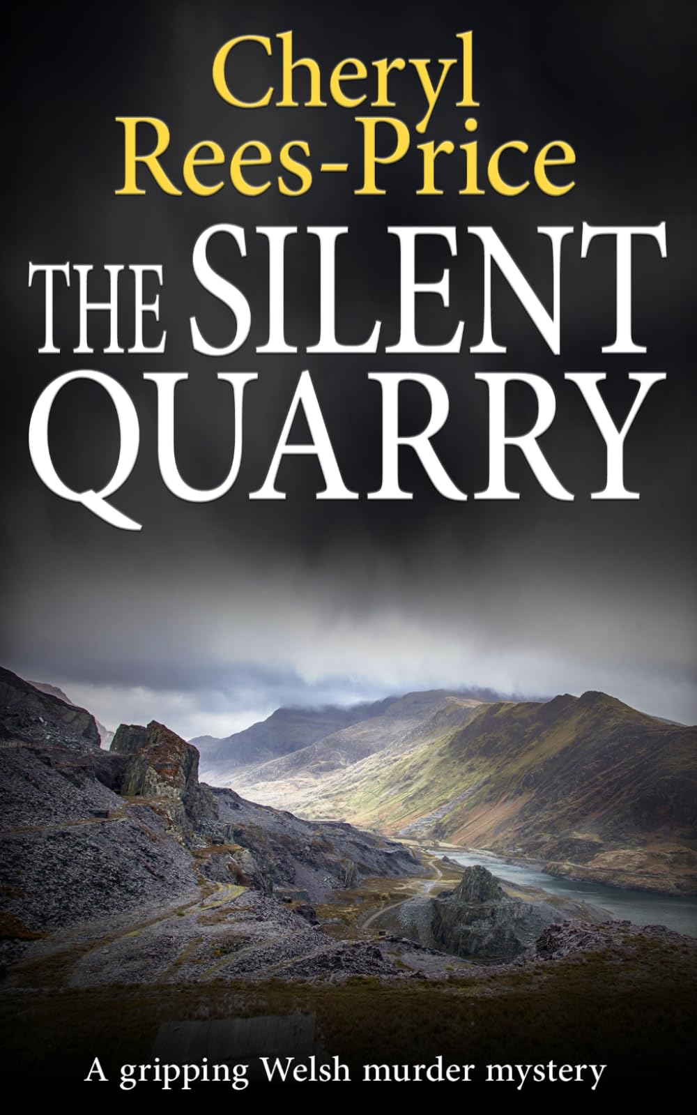 The Silent Quarry: A gripping Welsh murder mystery: 1 (DI Winter Meadows)