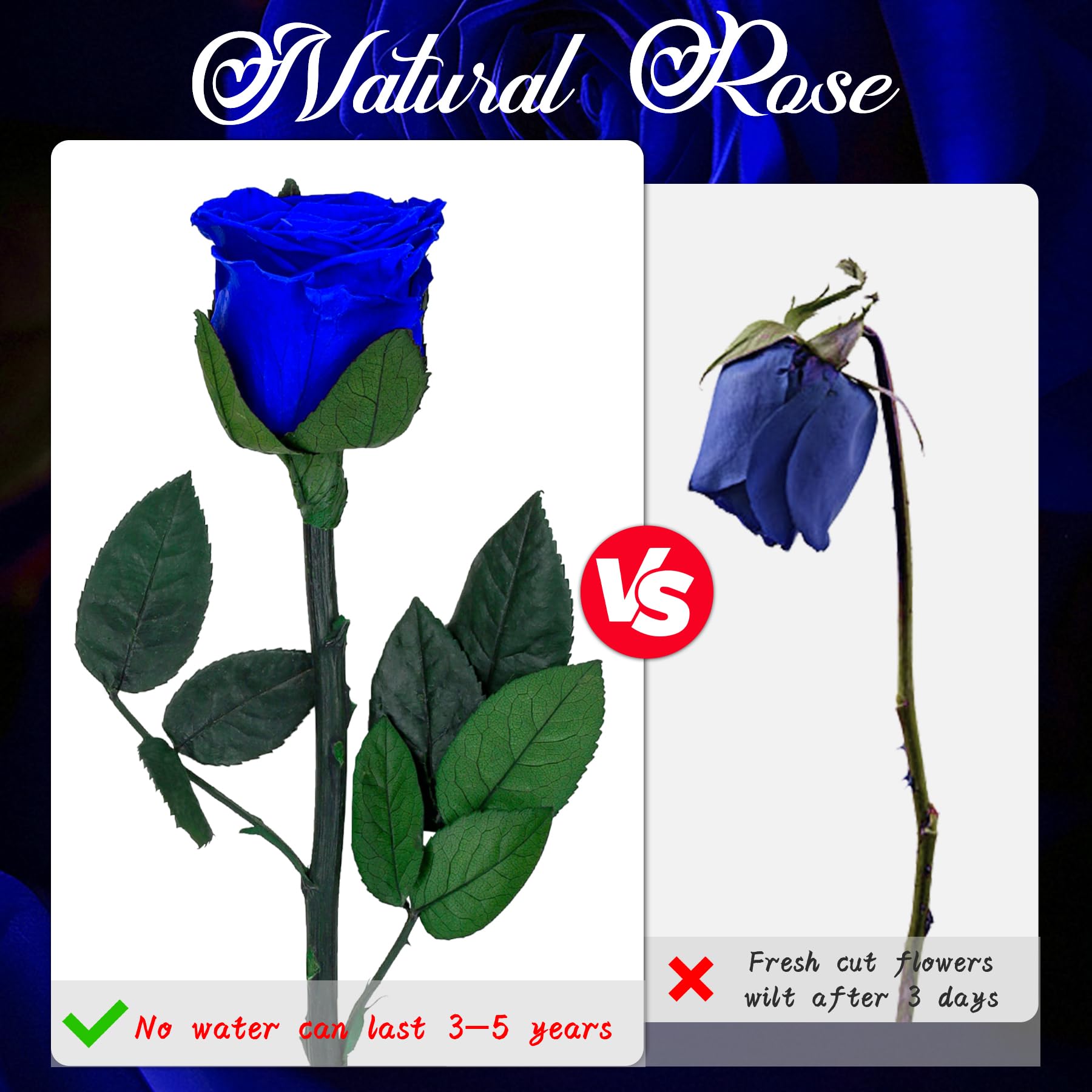 CSYY Rosa Eterna, Rosa Eterna Azul con Tallo Flores Preservadas Regalo San Valentín Dia de la Madre Flores Preservadas Regalo Mama Navidad