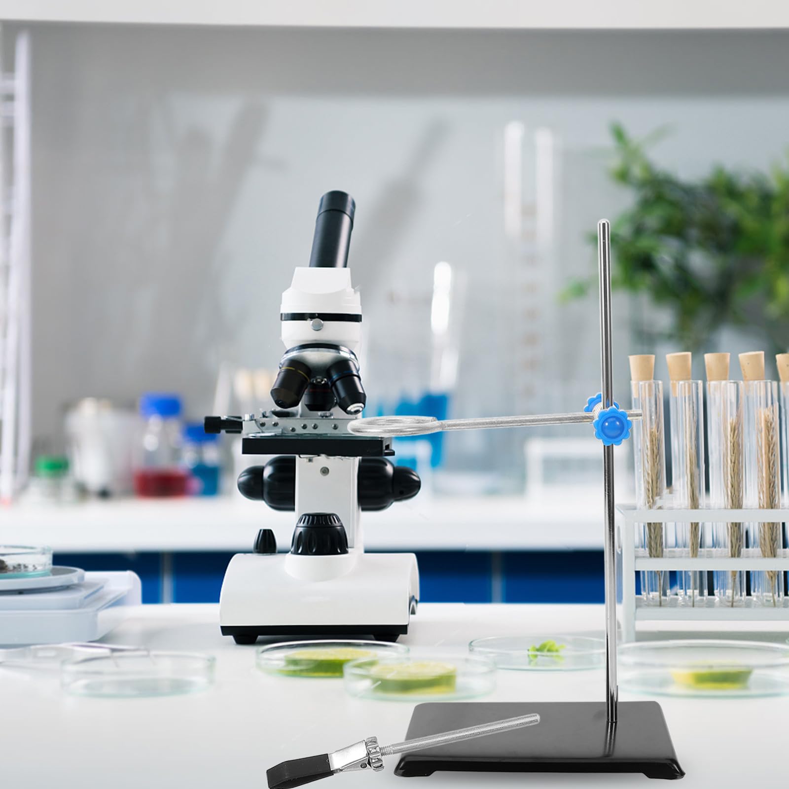 Supporto da Laboratorio in Ferro Nero Morsetto per Fiaschette e Morsetto per Matraccio, Resistente e Comodo per Esperimenti Chimici in Laboratorio