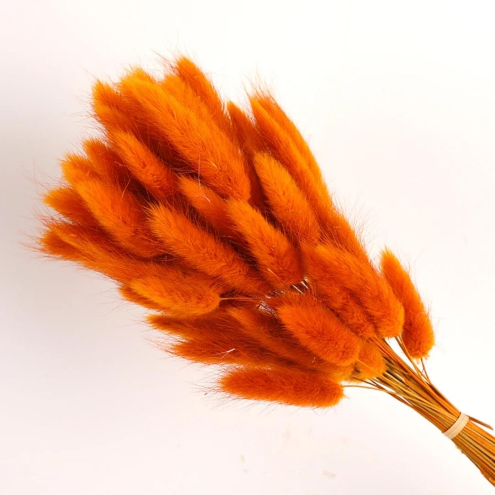 Flores secas de Cola de Conejo,100 Piezas 45cm Hierba de Cola de Conejo Natural Flor Seca Real decoración del hogar Ramo Colorido arreglo Floral de Boda Vintage Naranja