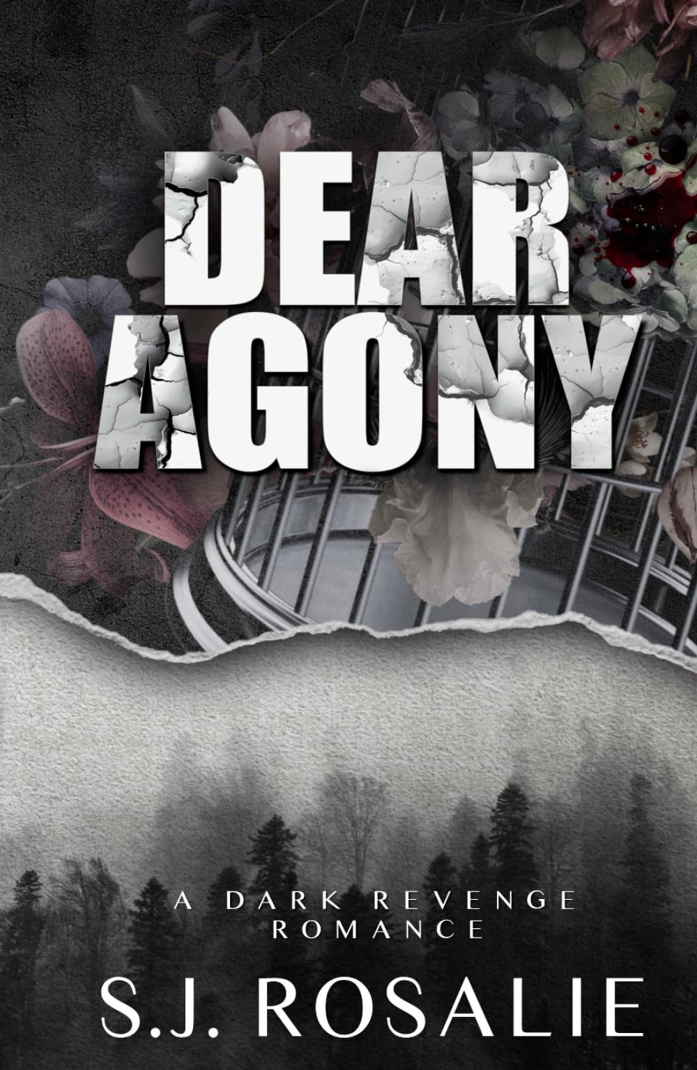 Dear Agony: A Dark Revenge Romance (Broken Scars Duet)