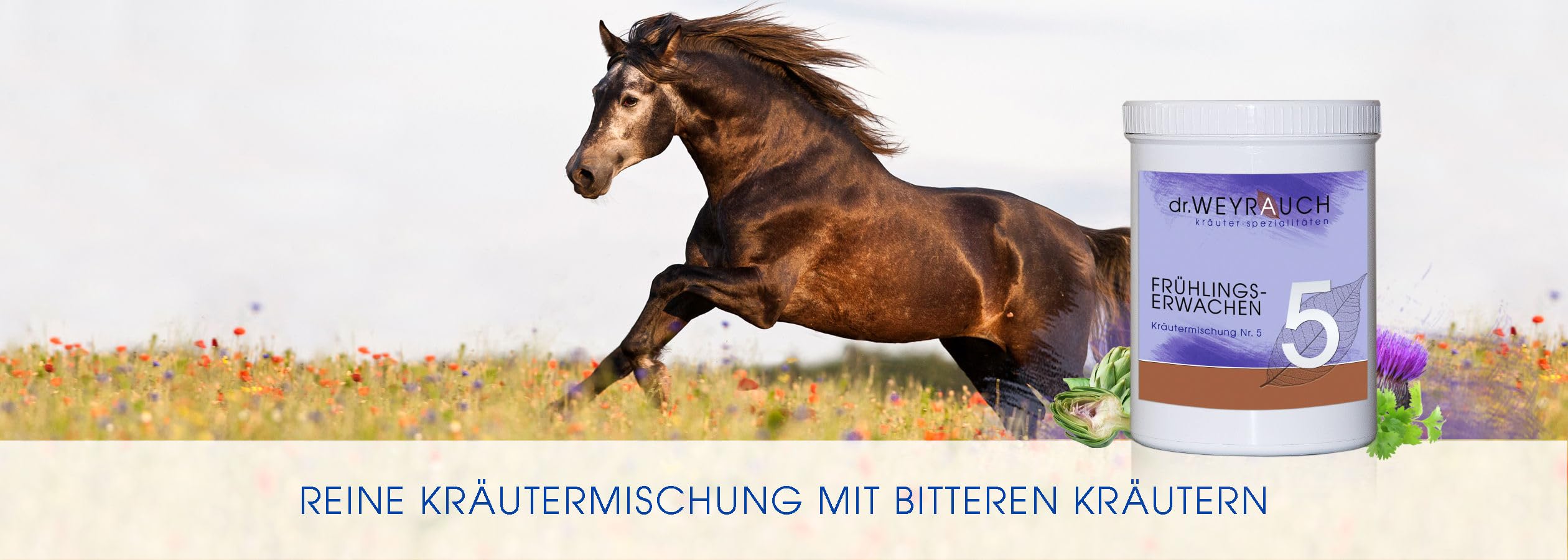 Dr. Weyrauch Nr. 5 Frühlingserwachen | 400 g | Ergänzungsfuttermittel für Pferde | Kräutermischung