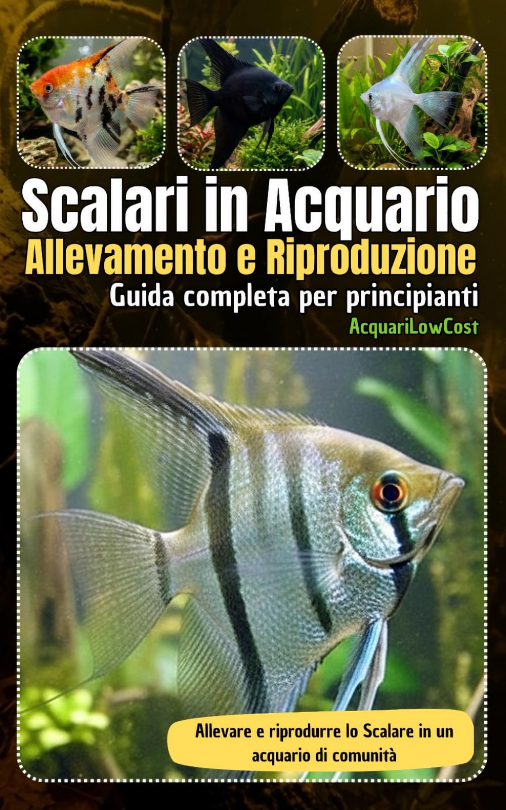 Scalari in Acquario Allevamento e Riproduzione: Una guida per allevare e riprodurre lo Scalare in un acquario di comunità (Acquari Low Cost: Per acquari semplici, economici e funzionali)