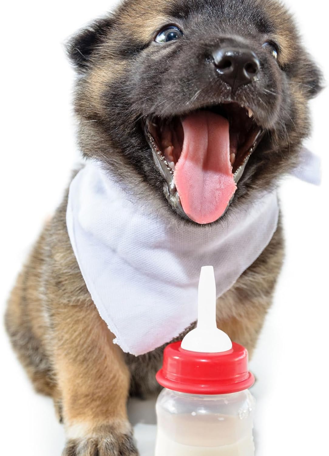 YARNOW 10pcs Silicone Pet Feeding Nipples Puppy Milk Feeder Nursing Bottle Nipples for Kitten Dog