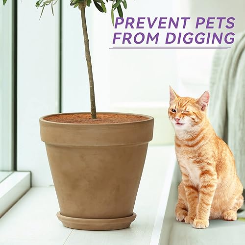 Miniatura 6 de CEED4U Anillo de mantillo para árbol de coco de 11.8 pulgadas, 6 alfombrillas protectoras de fibra de coco para árbol de árbol, cubierta para