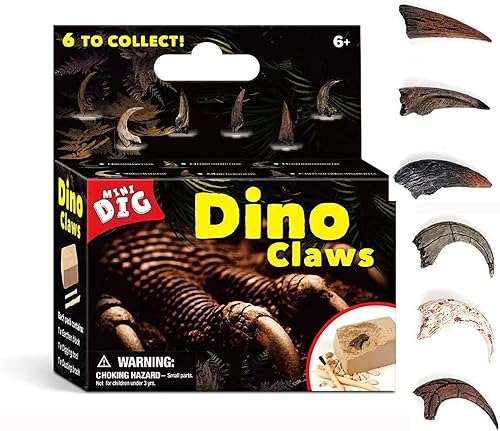 Fósiles de garra de dinosaurio, kits de fósiles de estegosaurio y T Rex, kit de excavación de fósiles de dinosaurio Clawq, kit de arqueología de