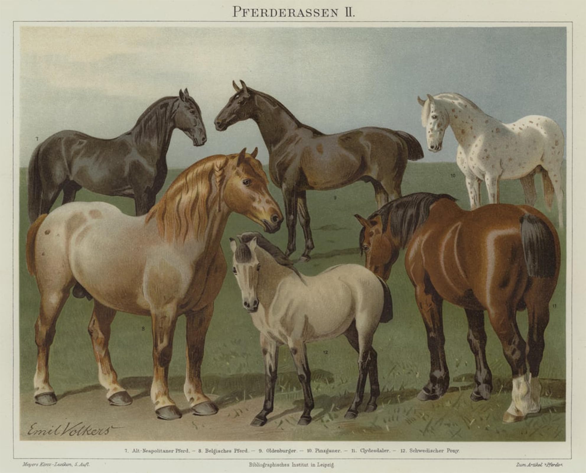 Impression sur toile chevaux de Volkers décoration murale chic - 5
