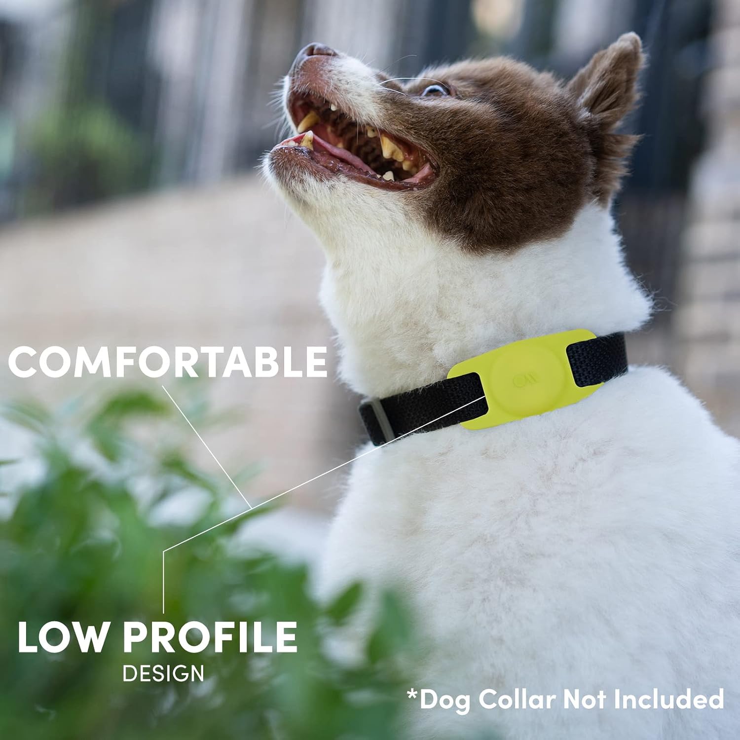 Case-Mate Airtag Dog Collar Holder - Water Resistant Airtag Holder Tag - Lightweight, Protective Case for Pet Collar Loop - Compatible with Cat/Dog Collars - Lime Green image 2