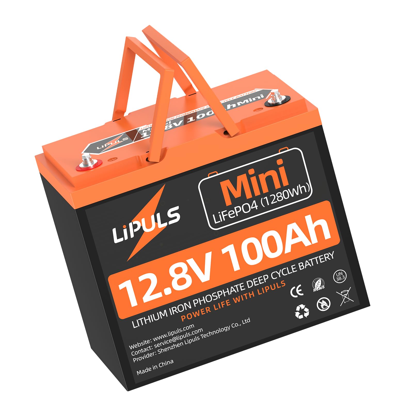 LIPULS 12V100Ah Mini LiFePO4 Lithium Battery, 100Ah Lithium Deep Cycle Battery, Max.1280Wh, 100A BMS, 15000 Cycles, Perfect for Trolling Motor, RV, Camping, Solar Panel