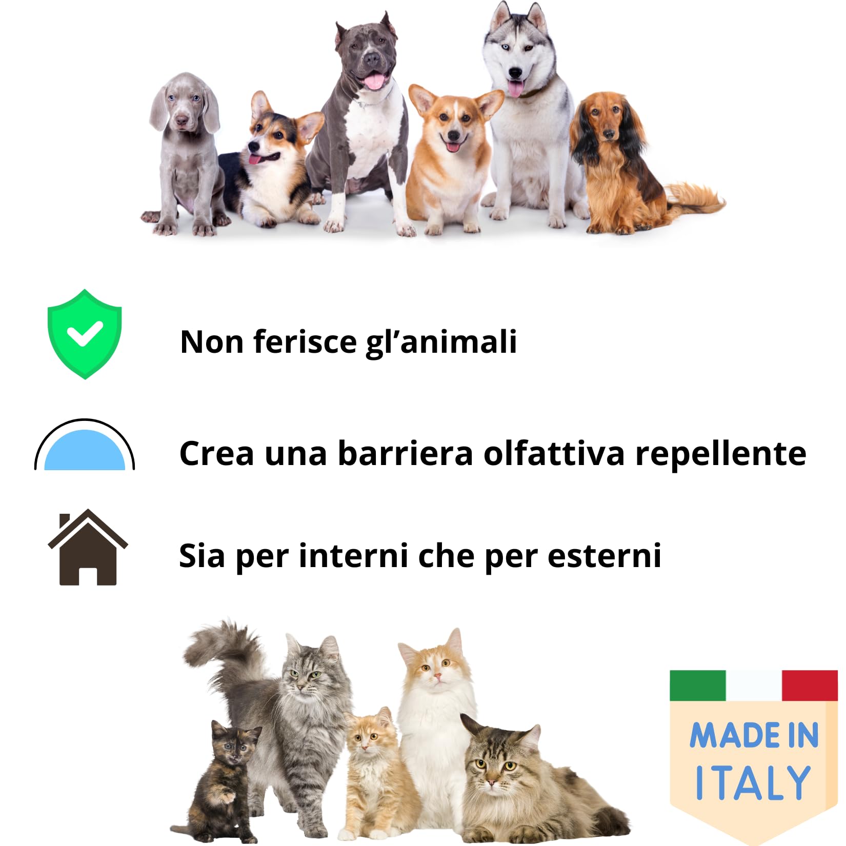 Sandokan, Disabituante Cani e Gatti Spray 1L, Repellente per Gatti e Cani Educativo No Gas, Dissuasore per Gatti e Cani Liquido per Esterno e Interno, Non Tossico, Sicuro Per Animali, Made in Italy