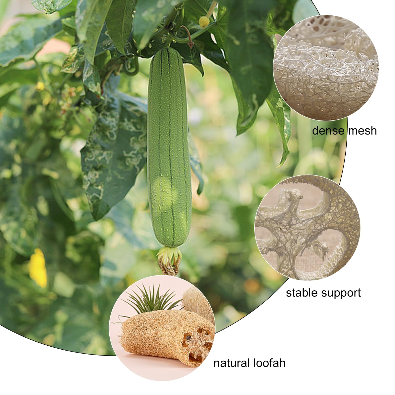 Accessoire Salle Bain écologique 10 Pièces Porte-Savon Luffa Naturel Antidérapant – Support Savon Écologique Anti-Gaspillage – Idéal Salle De Bain & Cuisine