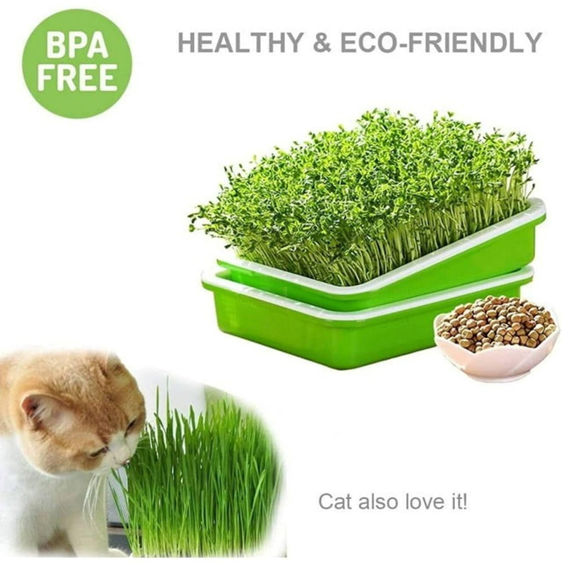 Kshavi Seed Sprouter Trays, Germination Tray BPA Free Nursery Tray Microgreens Growing Kit with 500ml Empty Spray Bottle and Germination Paper for Sprouting Seeds, Beans, Wheatgrass (Pack of 2) 1