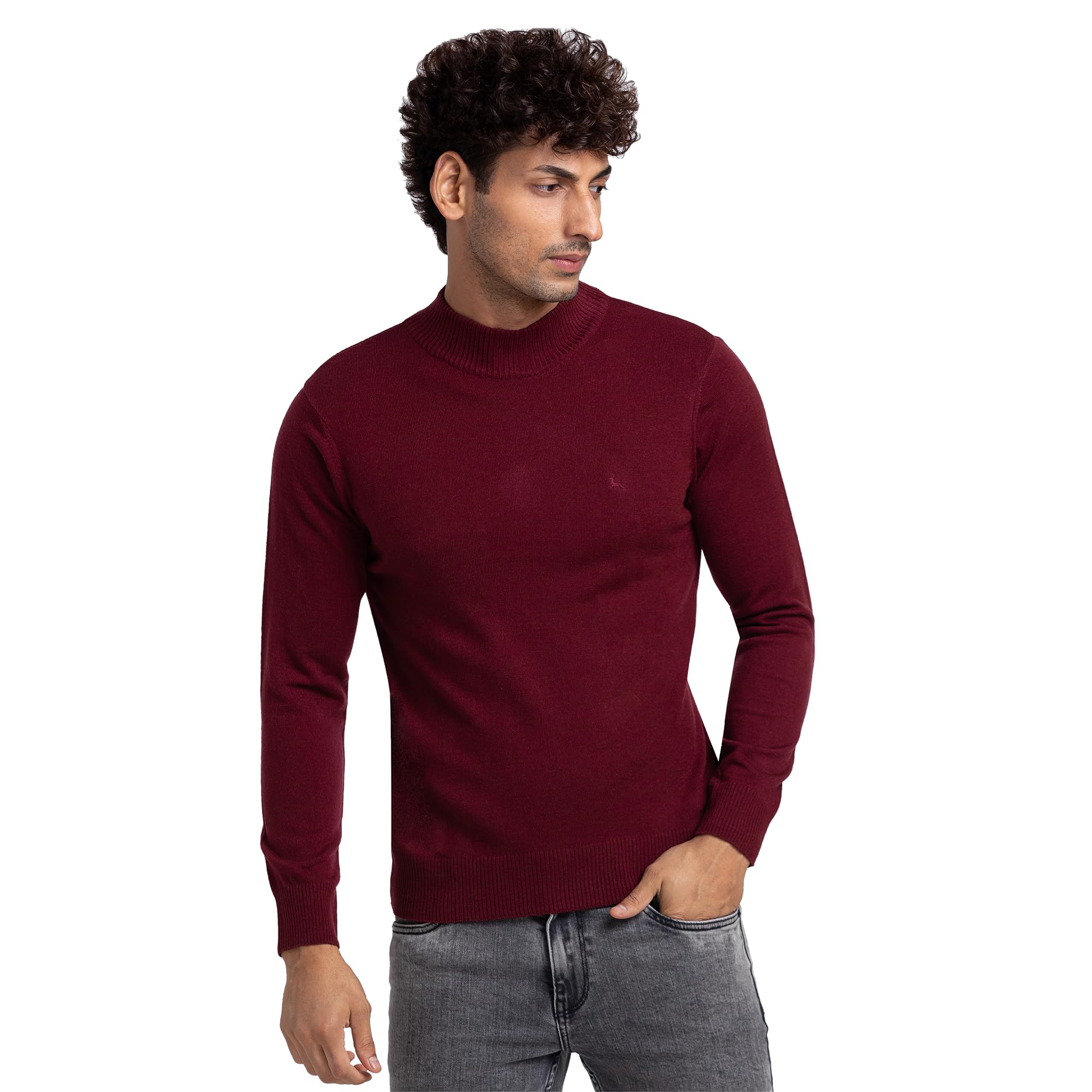 parx Men Regular Fit Solid Pattern Acrlic Wool Blend Full Sleeve Turtle Neck Casual Sweater-picture-41