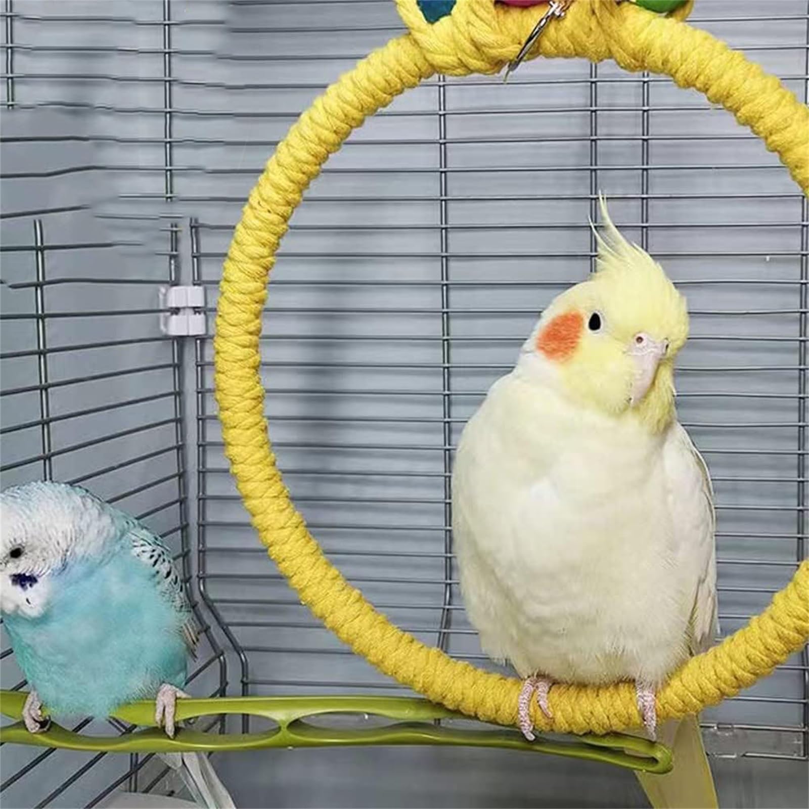 Amazon | 鳥スイング綿ロープリング鳥ぶら下げおもちゃ手作りスタンド